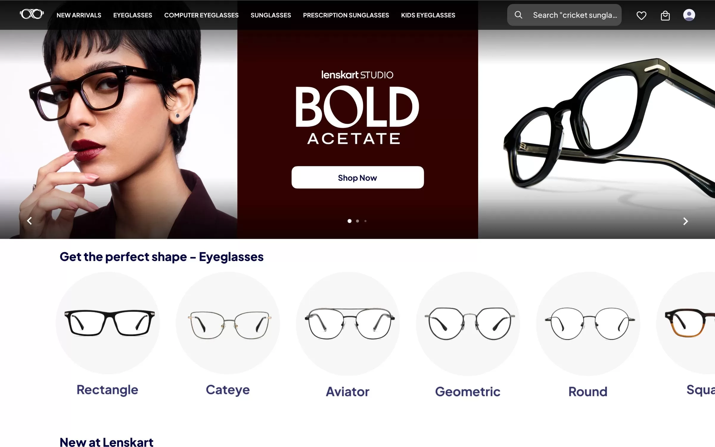 Lenskart website, one of the best Lenskart business model