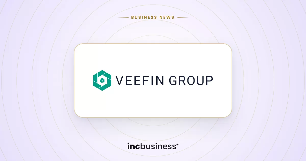 Veefin Solutions results: company logo on a light background