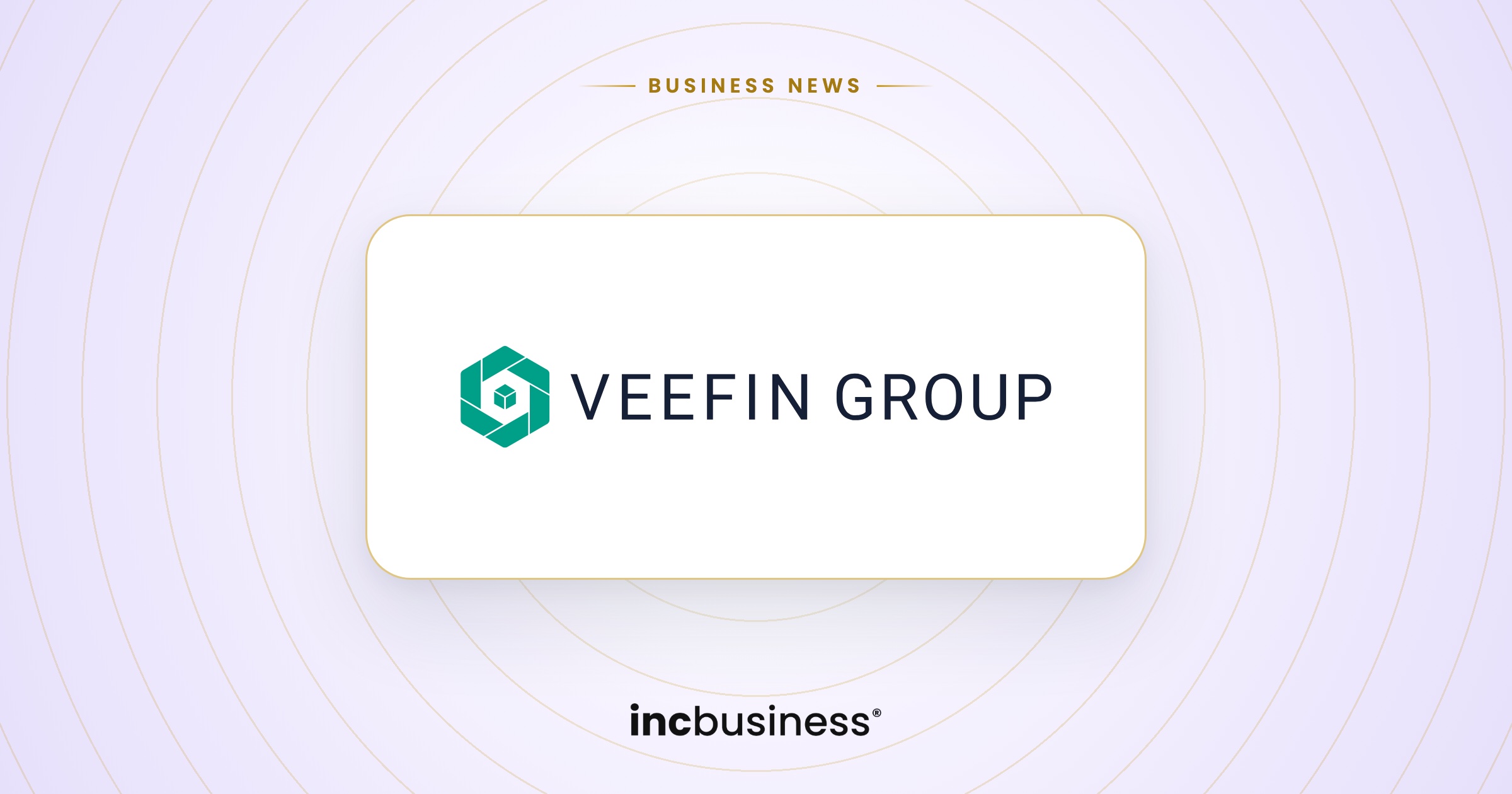 Veefin Solutions results: company logo on a light background