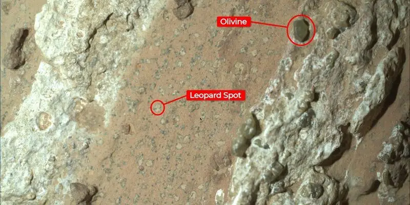 NASA may have just found life on Mars!