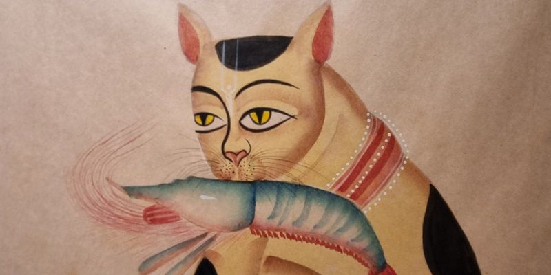 The lives and roles of cats: Museum of Art and Photography exhibition features feline characters