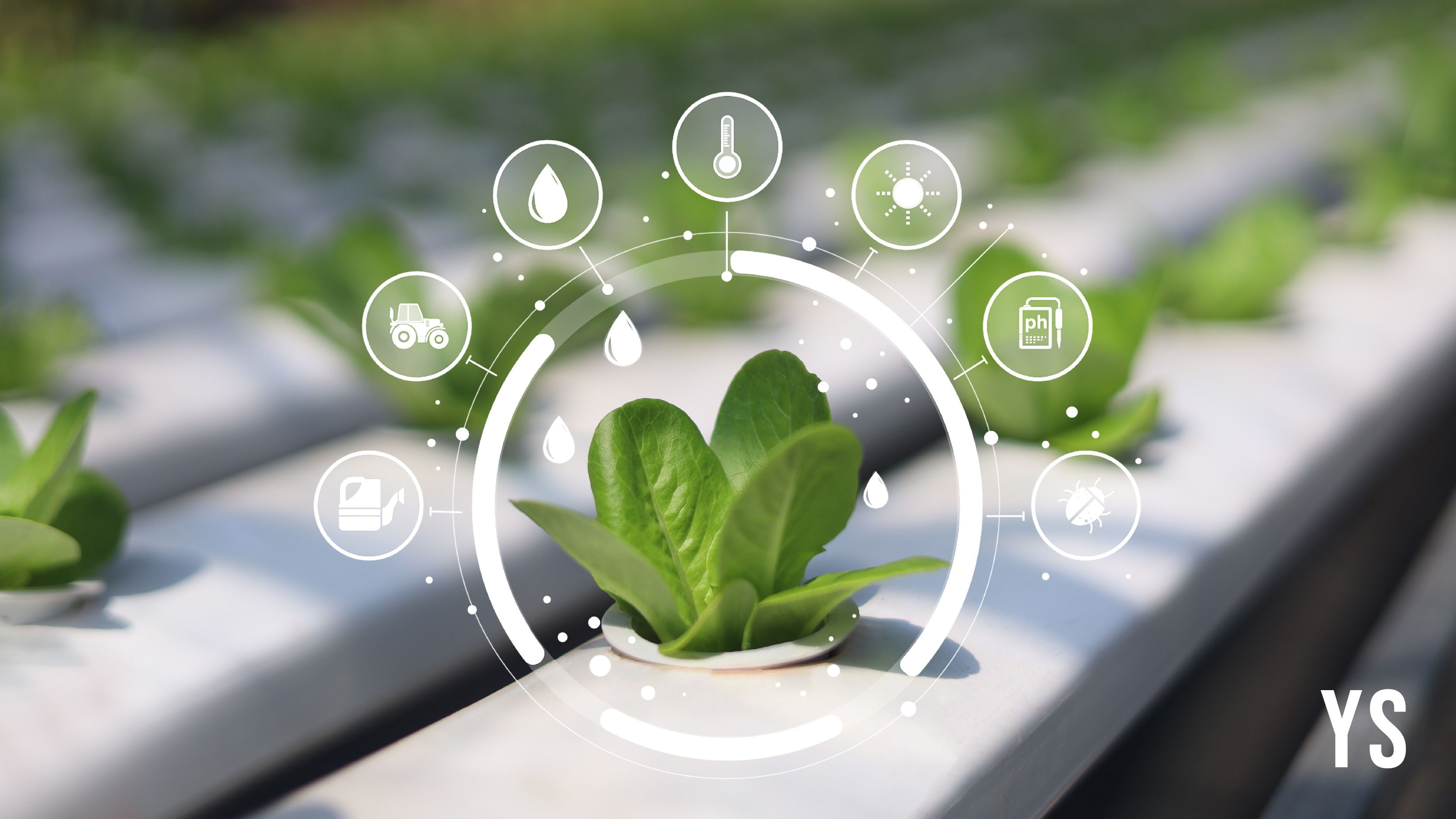 Finternet, Avalanche partner to test blockchain lending for farm assets
