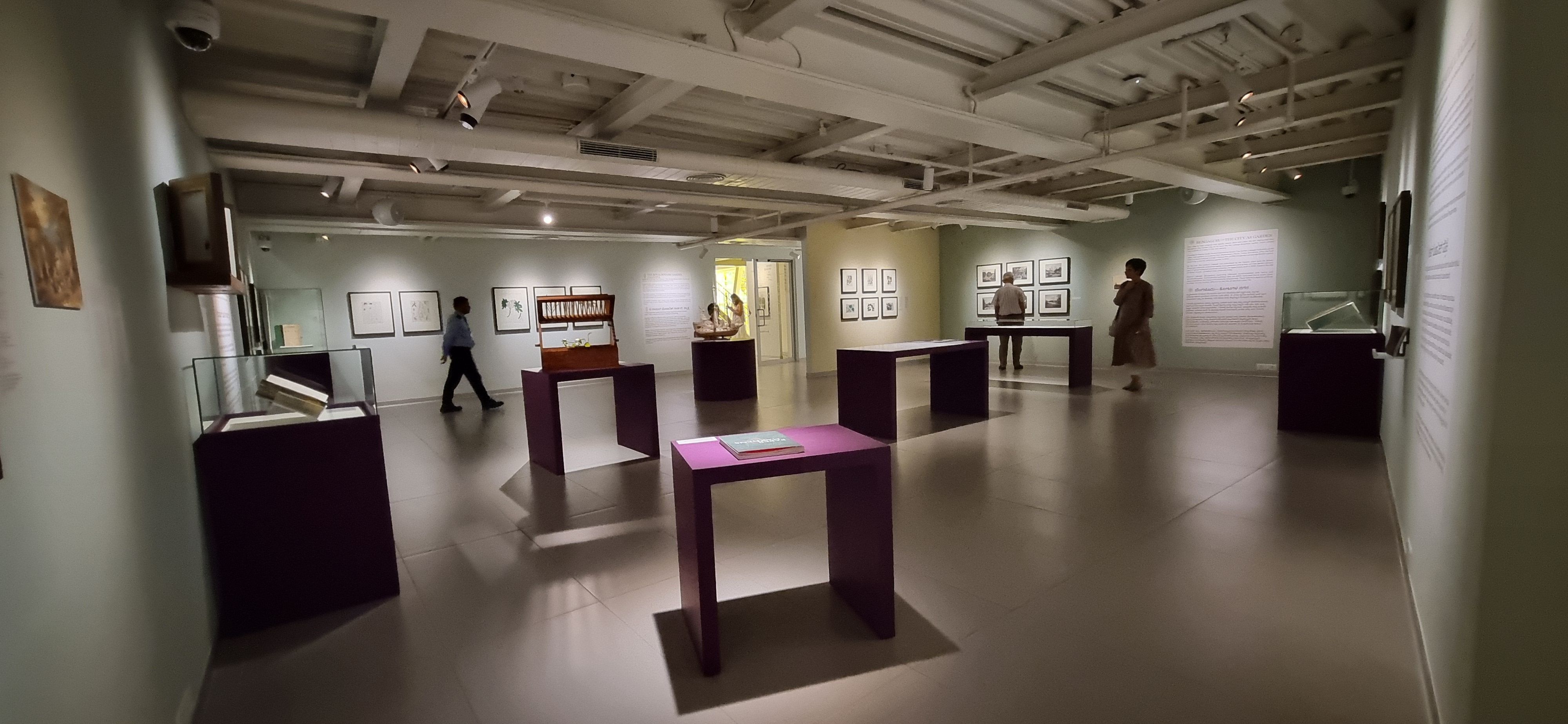 International Museum Day: Museum of Art and Photography showcases botany, history and social media