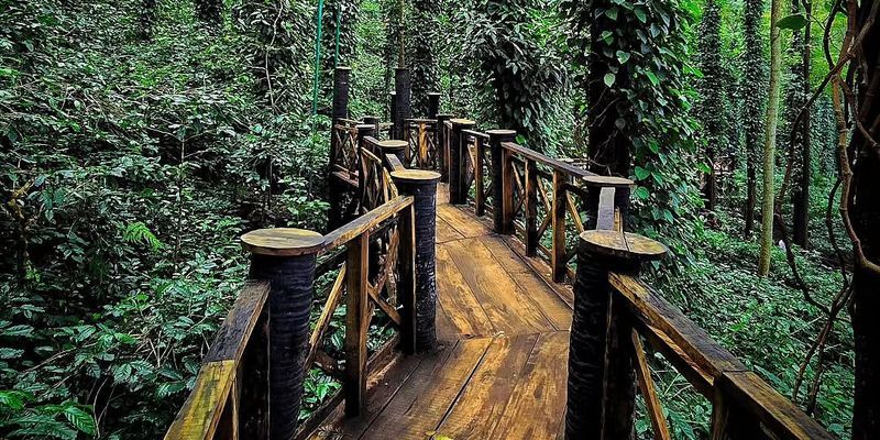 Andhra Pradesh to become 'India's first' AI-powered tourism state