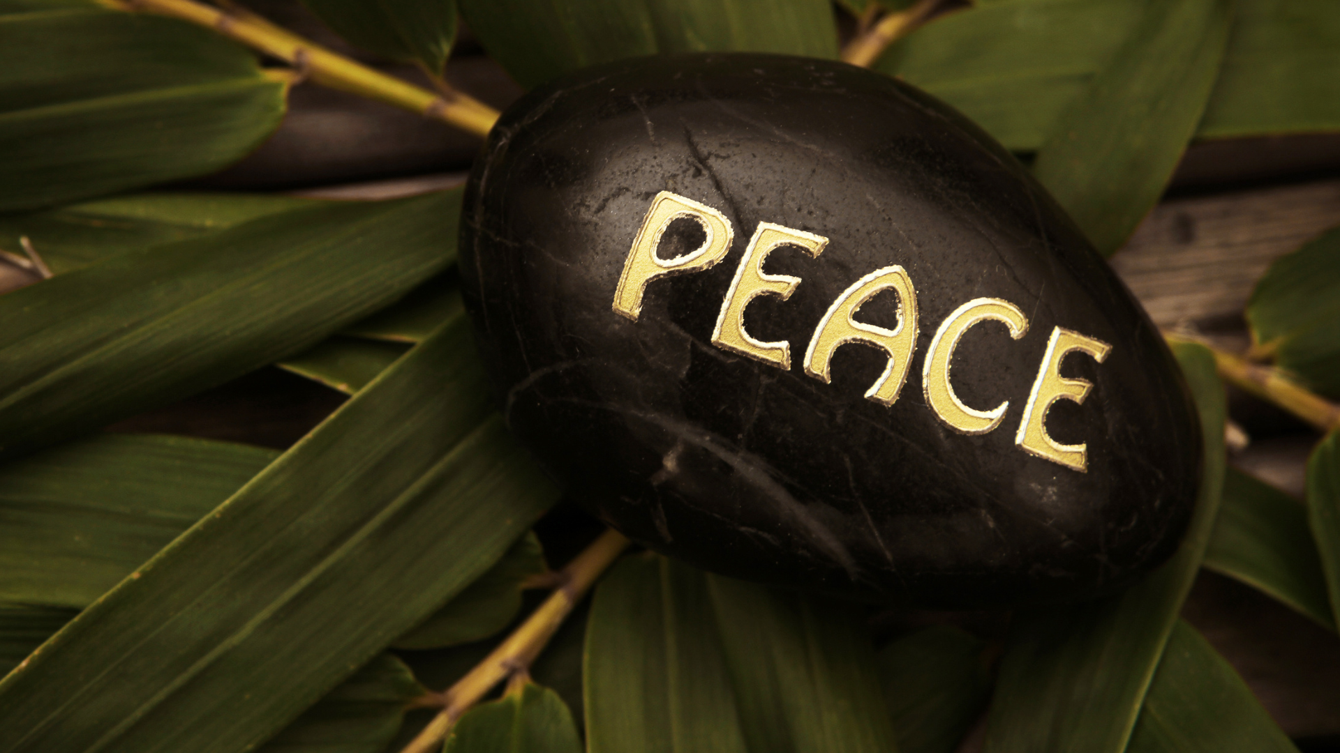 5 Books that tell the difference between happiness & peace